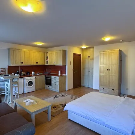 Apartment студио пирин *