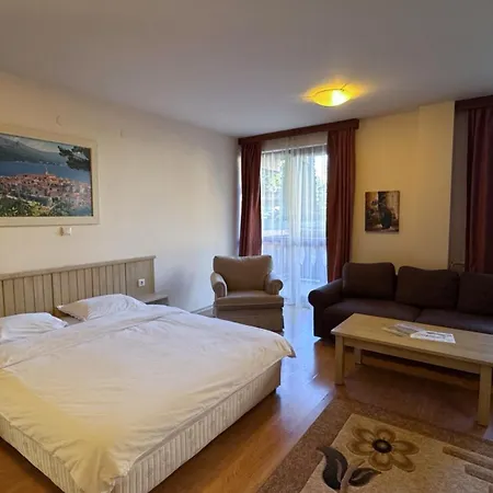 студио пирин Apartment Razlog