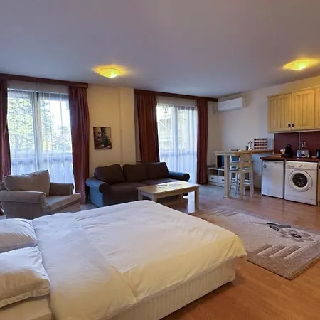 студио пирин Apartment *
