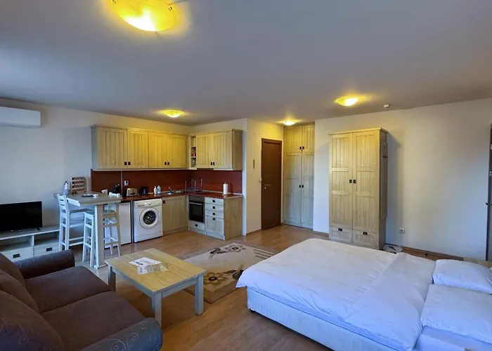 Appartement студио пирин *